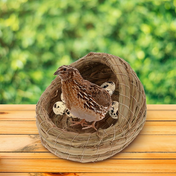 Topbathy 2Pcs Woven Chicken Coop Nest Straw Bed Small Animal Sleeping House Easy to Clean