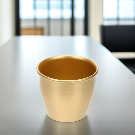 Topbathy Small Metal Planter Flower Pots for Indoor Plants Golden Modern Style 1Pack