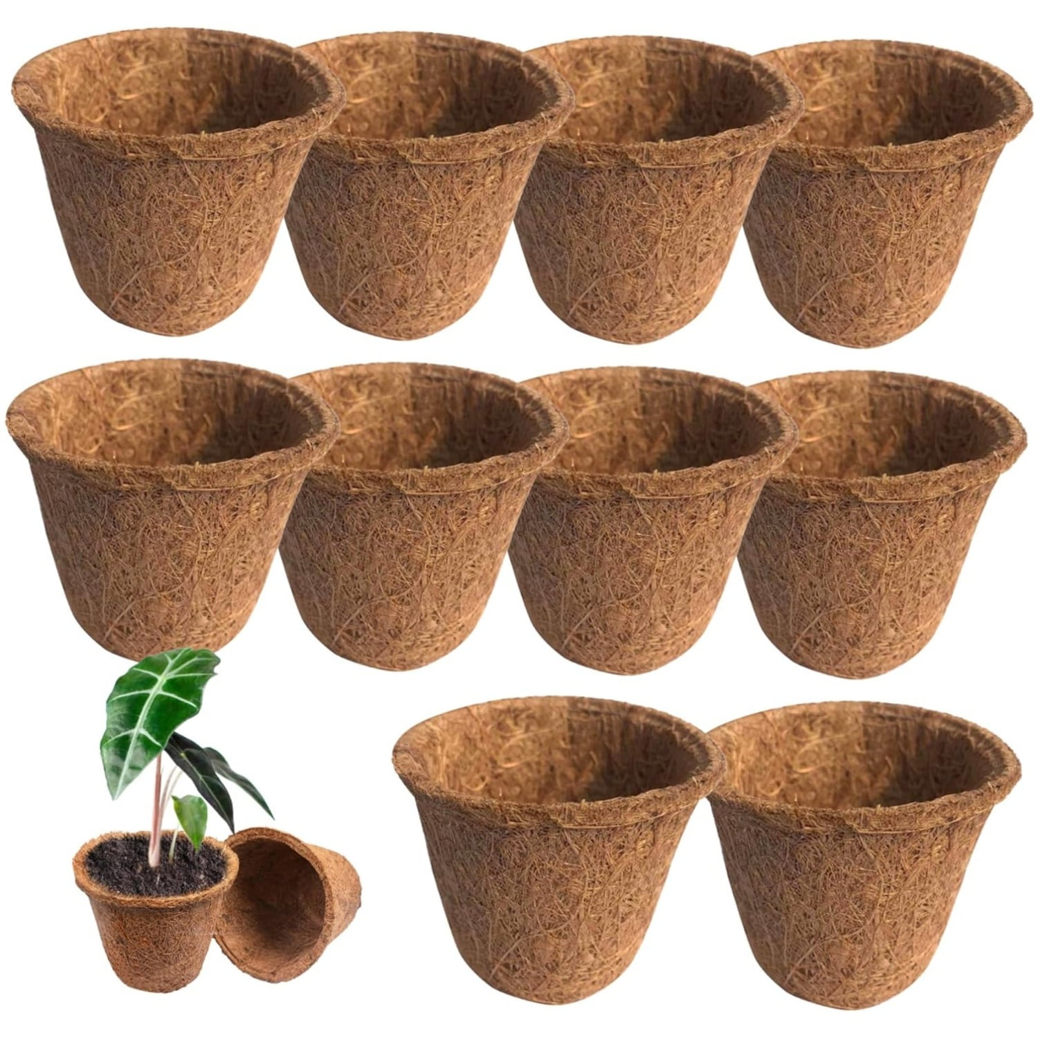 Topboutique 10 Pcs 2.6 inch Coco Coir Seed Starter Pots Biodegradable ...