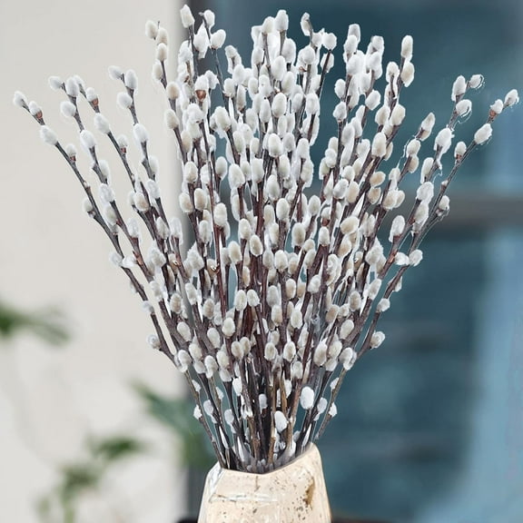 Topboutique 20 Pcs Dried Pussy Willow Branches Natural Preserved Dried Pussy Willow Branches Pussy Willows with White Flowers Snow Willow Branches for Vase Wedding Home Hotel Yard Decor 12 inch