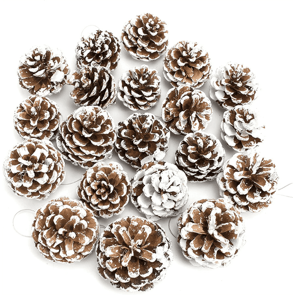 Topboutique 9 Pieces Christmas Pine Cones Ornament Natural PineCones With String Pendant Crafts for Gift Tag Christmas Tree Party Hanging Decoration (Snow)