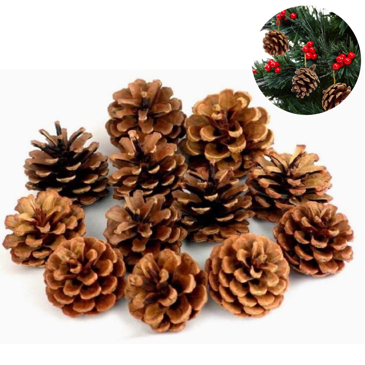 Topboutique Christmas Pine Cones Natural Pine Cones Bulk Ornaments with