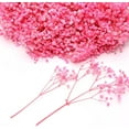 thumbnail image 1 of Topboutique Dried Baby's Breath Flower,5 in/13 cm Gypsophila Bunches,Long Lasting Dried Flowers,Preserved Pink Flower for DIY Wreath Floral/Table Decor/Valentine's Day Gifts/Card Making,50 Pcs, 1 of 7