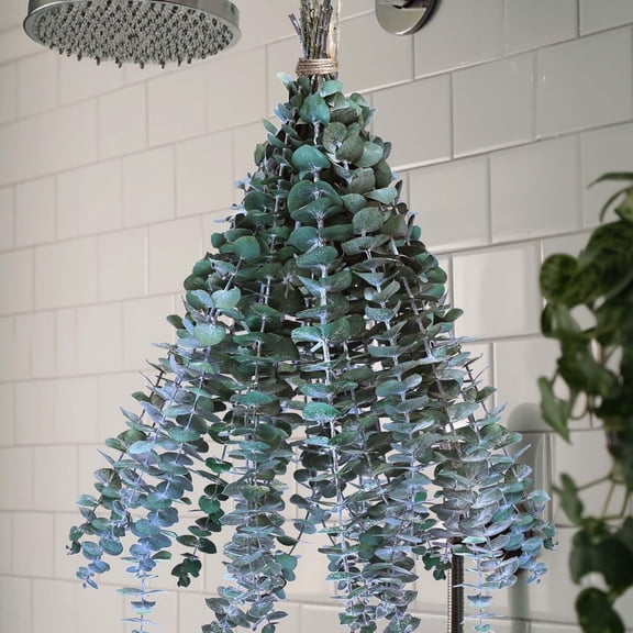 Topboutique Dried Eucalyptus for Shower Hanging 10 Pcs 17'' Real Fresh Eucalyptus Green Plant Eucalyptus Leaves Branches Natural Fresh Greenery Hanging Preserved Plant for Bathroom Shower Wedding