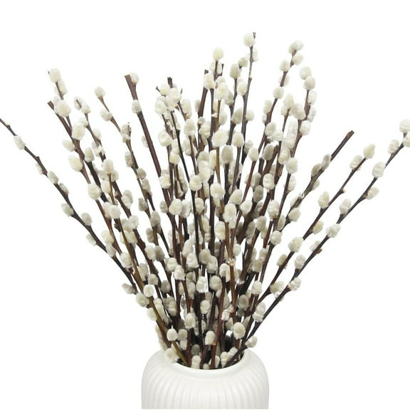 Topboutique Dried Pussywillow Branches 20 Stems Natural Dried Pussy Willow Dried Preserved Flowers Pussy Willows Dried Flowers for Wedding Christmas Party Home Decor,16 inch,White