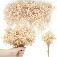 thumbnail image 1 of Topboutique Mini Dried Baby's Breath Flowers,50 Pcs Gypsophila Branches,Dry Flowers Bulk,Pressed Dried Flowers for Hair Accessory DIY,Wedding Wreath,Table Vase,Card Making,Gift,Beige-5 in/13 cm, 1 of 8