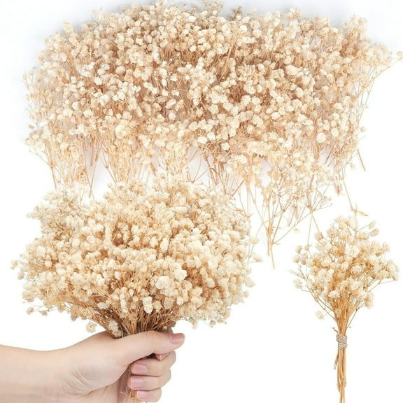 Topboutique Mini Dried Baby's Breath Flowers,50 Pcs Gypsophila Branches,Dry Flowers Bulk,Pressed Dried Flowers for Hair Accessory DIY,Wedding Wreath,Table Vase,Card Making,Gift,Beige-5 in/13 cm