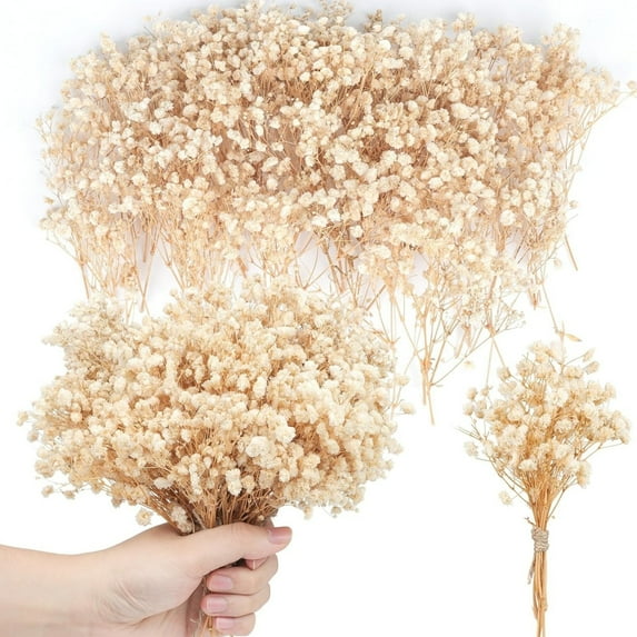 Topboutique Mini Dried Baby's Breath Flowers,50 Pcs Gypsophila Branches,Dry Flowers Bulk,Pressed Dried Flowers for Hair Accessory DIY,Wedding Wreath,Table Vase,Card Making,Gift,Beige-5 in/13 cm