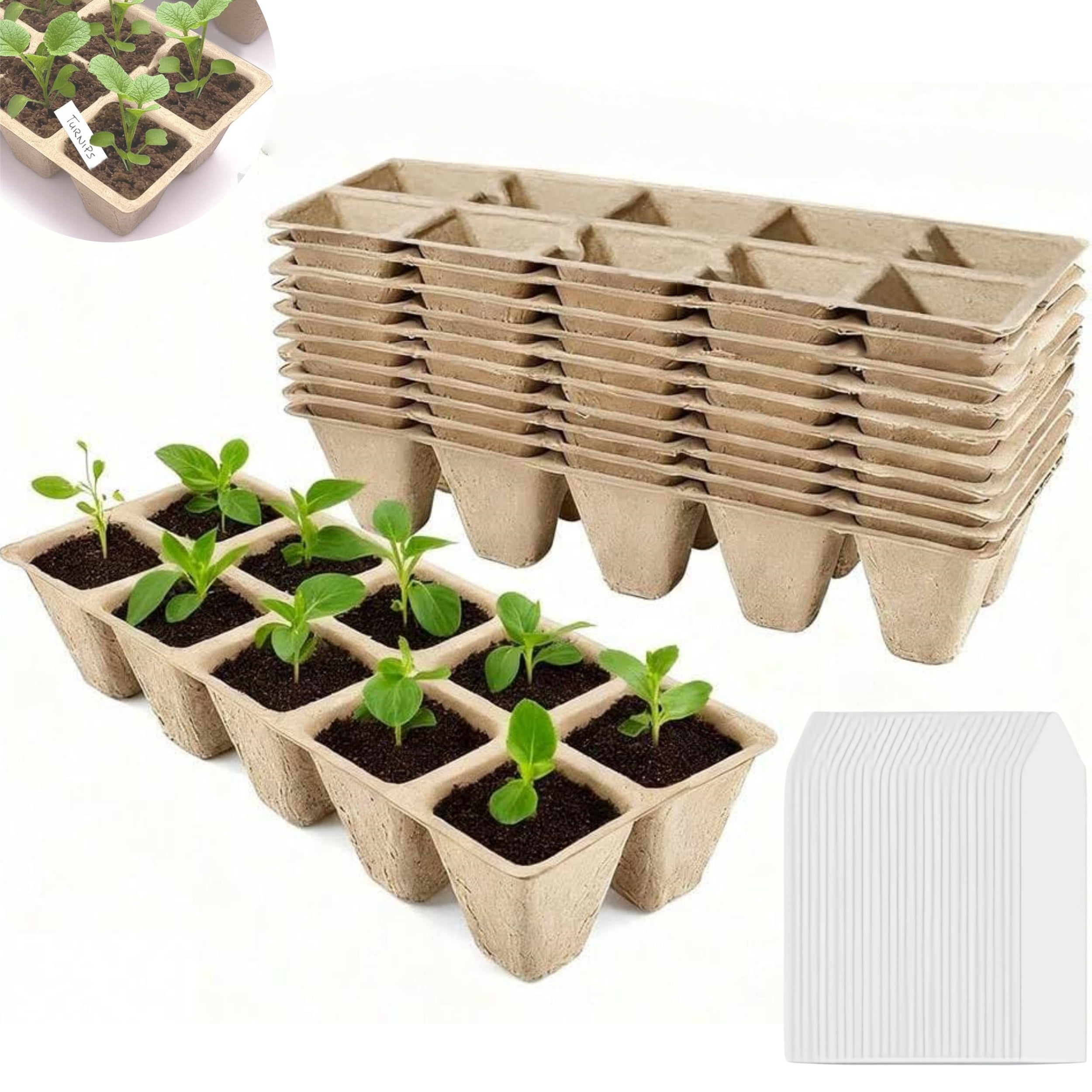 Topboutique Seedling Pulp Trays Set, 10 Biodegradable Nursery Pot + 100 ...