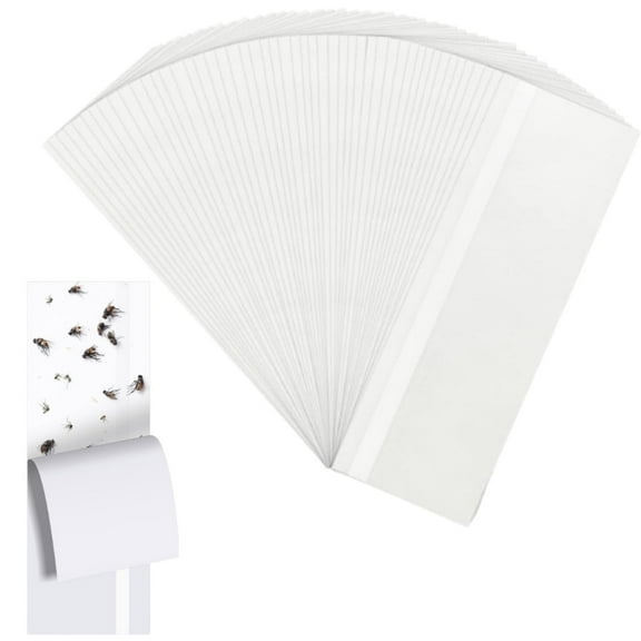 Topboutique Window Fly Traps,80 Pcs Fruit Fly Traps for Indoors, Fly Paper Sticky Strips, Non-Toxic Fly Traps Fly Paper Indoor Bug Sticky Traps for Indoors Bug Catcher Clear