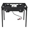 thumbnail image 1 of Topbuy 2-Burner Propane Gas Outdoor Stove, 1 of 5