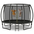 thumbnail image 1 of Patiojoy Trampoline 12FT Recreational Trampoline with Ladder Enclosure Safety Pad and Anti-Rust Galvanized Steel Frame Black, 1 of 9