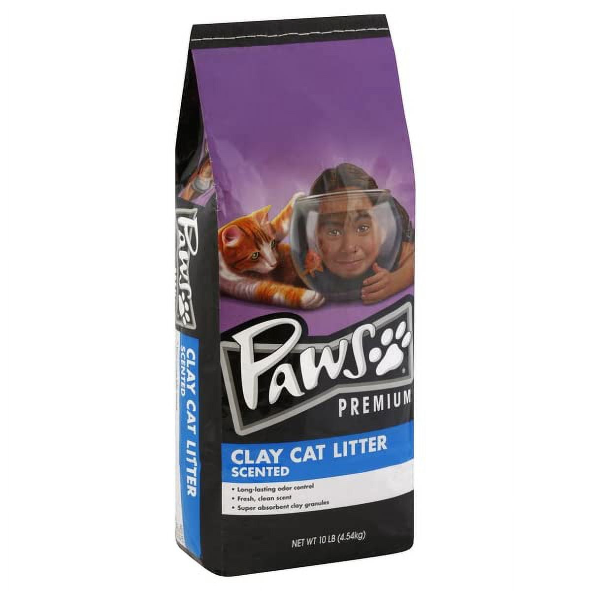 Topco Associates, Paws Premium Cat Litter Clay Scented. (Pack of 24