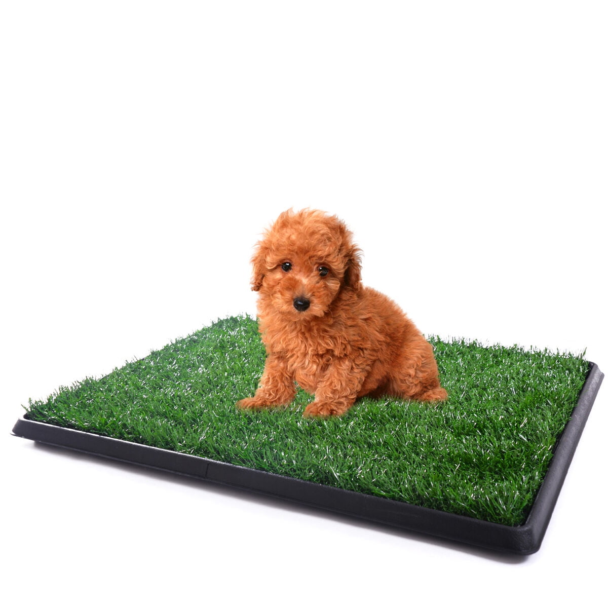 Topcobe Artificial Grass, Dog Potty Grass, Puppy Potty Trainer, 25"x20" Fake Grass Turf for Dogs Potty Training Area Patio Lawn Decoration Topcobe Artificial Grass, Dog Potty Grass, Puppy Potty Trainer, 25"x20" Fake Grass Turf for Dogs Potty Training Area Patio Lawn Decoration