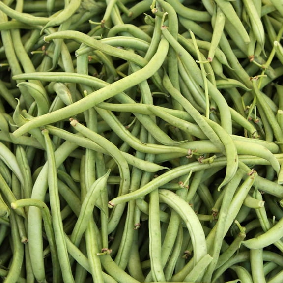 Topcrop Bush Bean Seeds - 30 g Packet ~100 Seeds - Non-GMO, Heirloom Green Snap Bean Seeds - Vegetable Garden Seeds