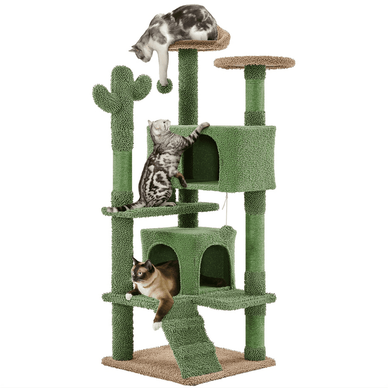 Cat tree perch top