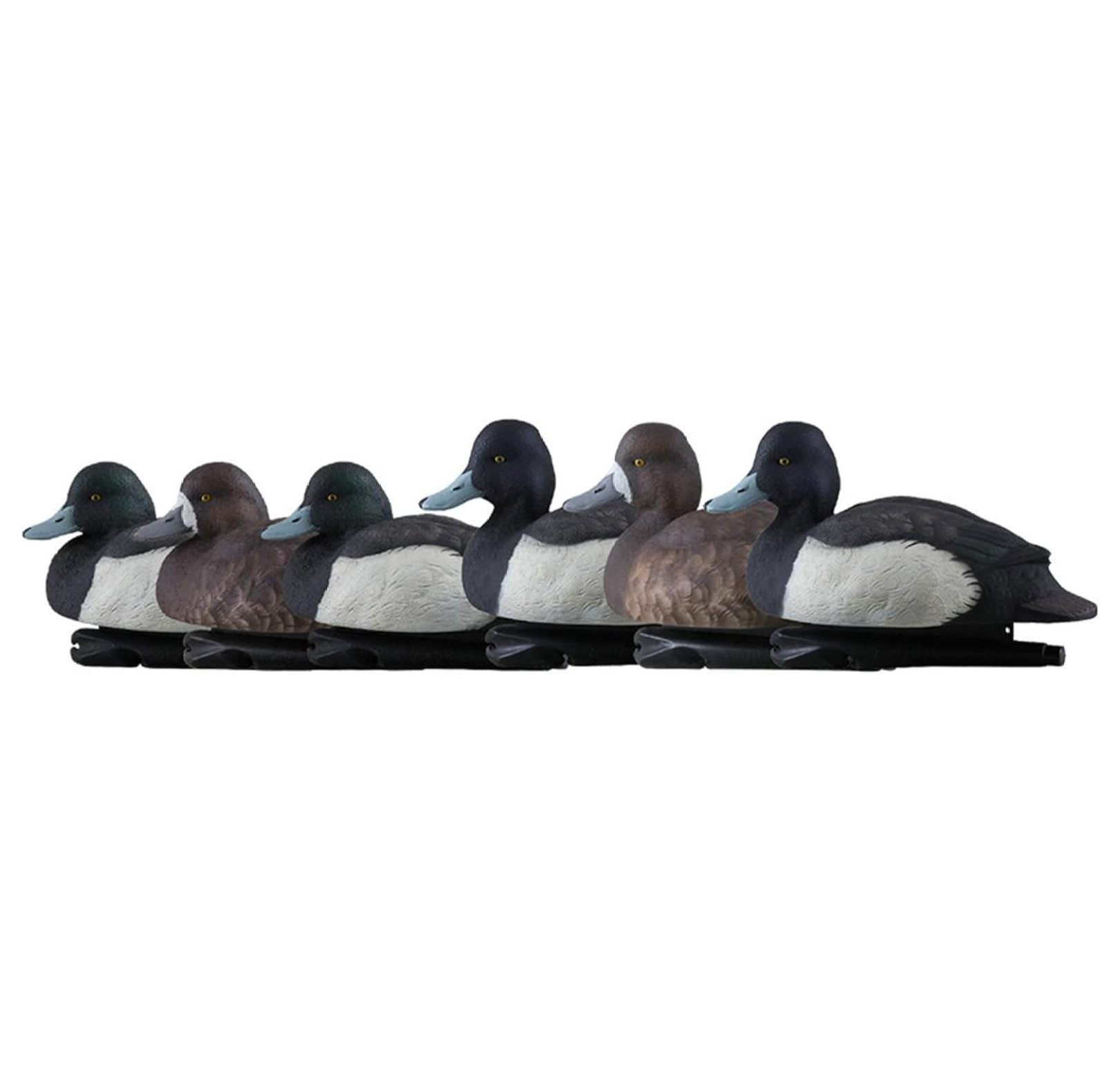 Topflight Blue Bills Decoy Set Realistic Decoys with Weight Forward