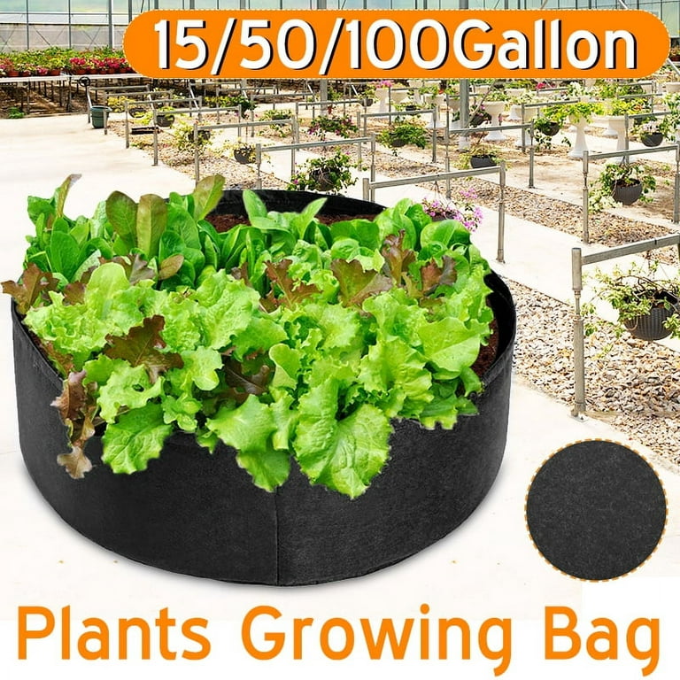https://i5.walmartimages.com/seo/Tophomer-50-Gallons-Round-Outdoor-Planters-Garden-Bag-Plant-Grow-Bags-Deep-Soil-Planting-Container-for-Plants-Vegetables-Flowers-Black_cc963eee-1e46-4746-a4f0-f76dcb6a2fff.d20e03a8a8667c997308d89909eb6bae.jpeg?odnHeight=768&odnWidth=768&odnBg=FFFFFF