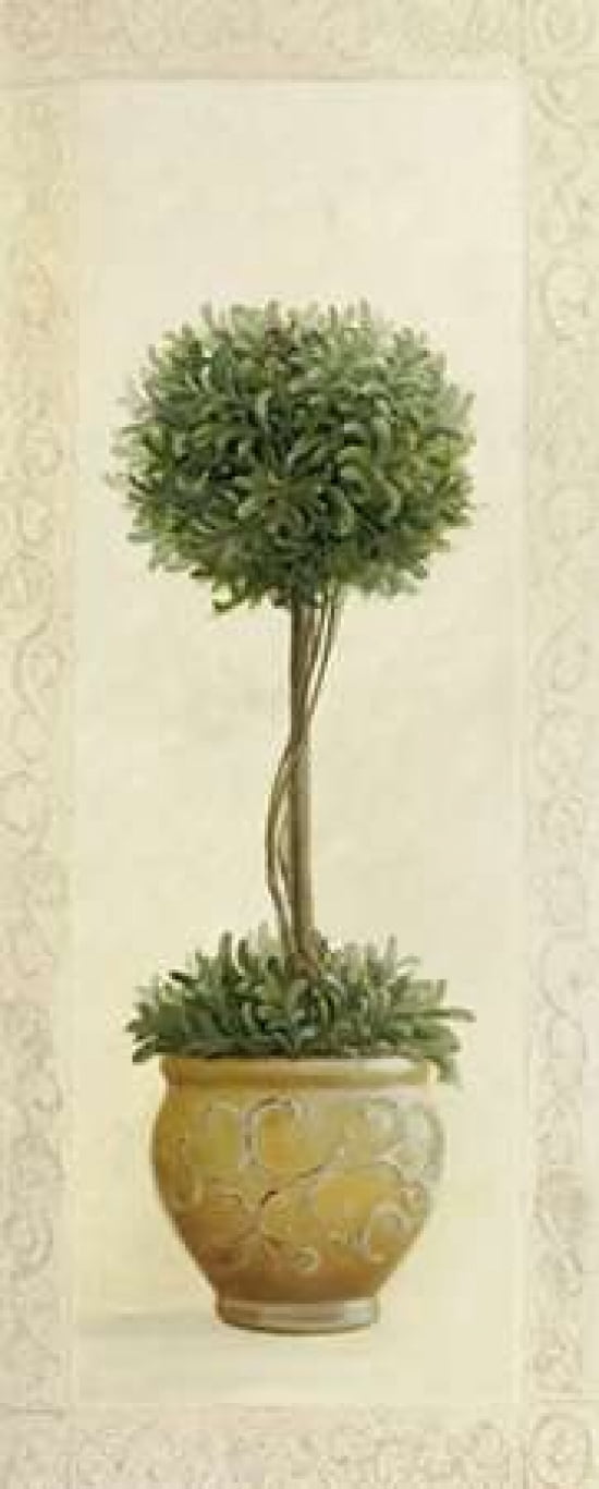 Topiary Ball I Canvas Art - Welby (10 x 20)
