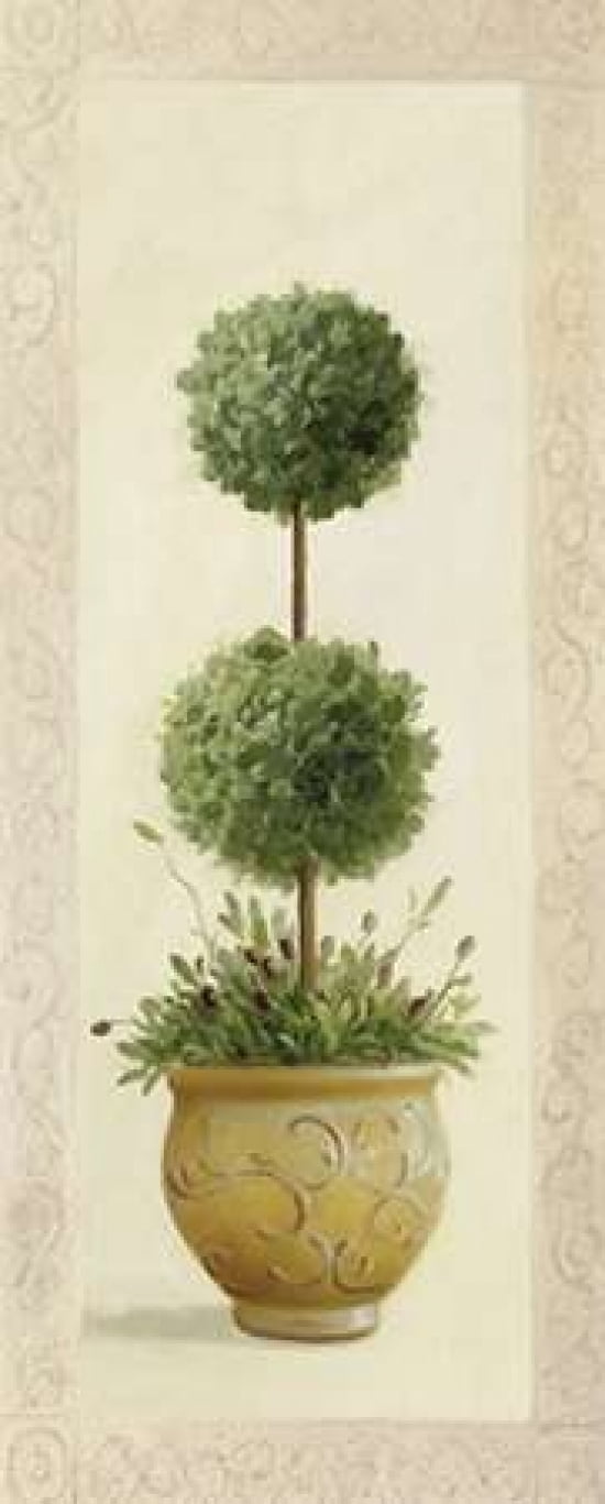 Topiary Ball II Canvas Art - Welby (10 x 20)