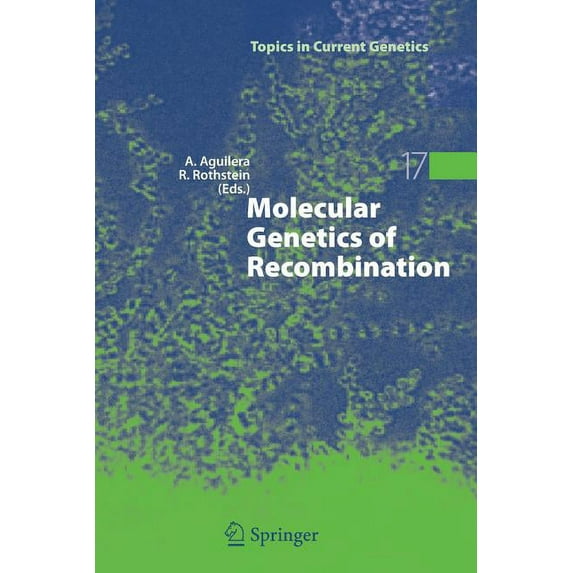 Topics in Current Genetics Molecular Genetics of Recombination, Book 17, (Paperback)