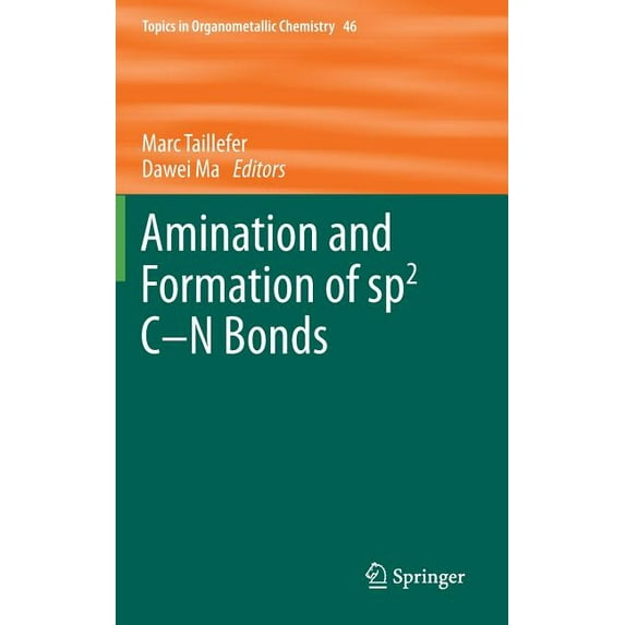 Topics in Organometallic Chemistry Amination and Formation of Sp2 C-N Bonds, Book 46, (Hardcover)