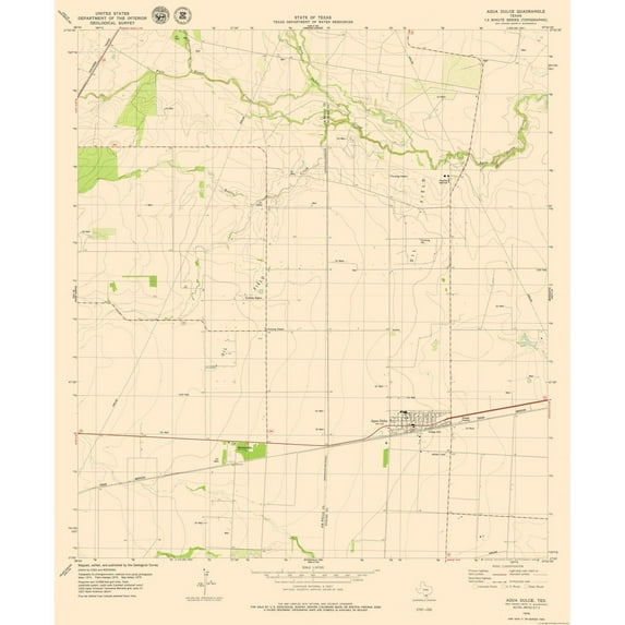 Topographical Map - Agua Dulce Texas Quad - USGS 1979 - Vintage Wall Art