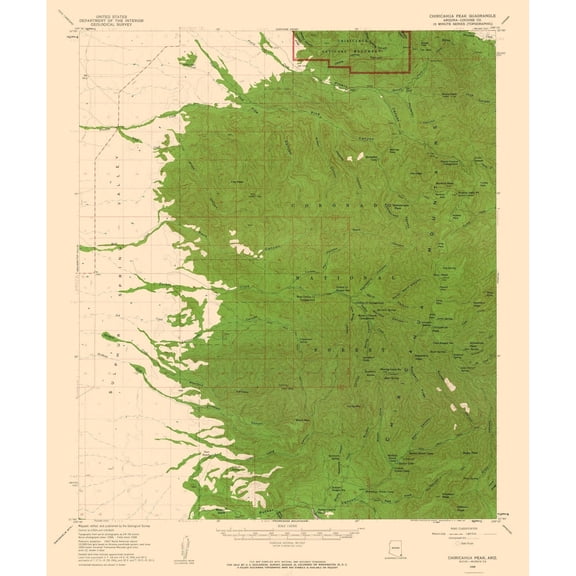 Topographical Map - Chiricahua Peak Arizona Quad - USGS 1958 - 23 x 27.47 - Vintage Wall Art