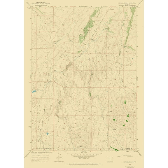 Topographical Map - Cornell Gulch Wyoming Quad - USGS 1967 - 23 x 32.22 - Vintage Wall Art