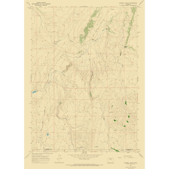 Topographical Map - Cornell Gulch Wyoming Quad - USGS 1967 - Vintage Wall Art