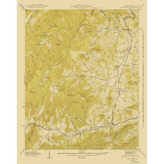 Topographical Map - Dellwood North Carolina Quad - USGS 1935 - Vintage Wall Art