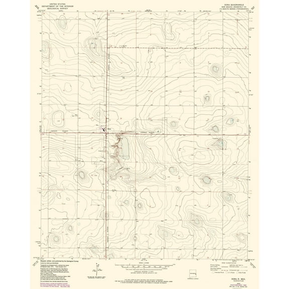 Topographical Map - Dora New Mexico Quad - USGS 1972 - 23 x 29.02 - Vintage Wall Art