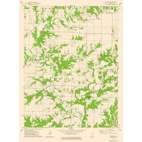 Topographical Map - Fandon Illinois Quad - USGS 1974 - 23 x 31.38 - Vintage Wall Art