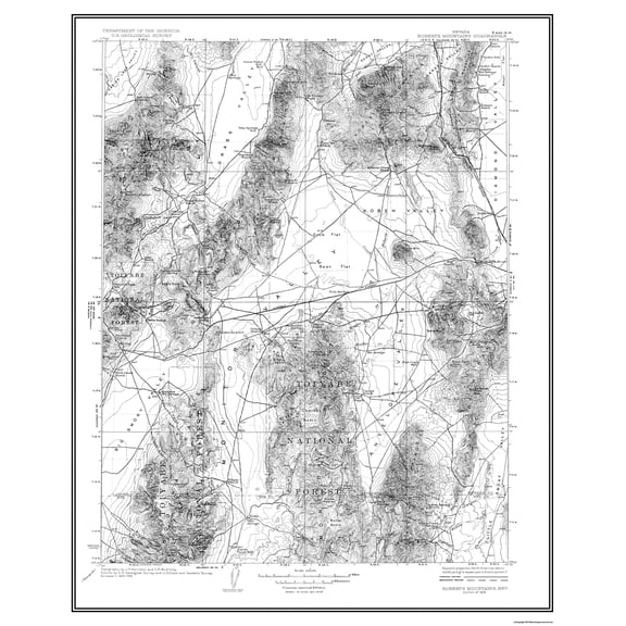 Topographical Map - Mt Roberts Nevada Quad - USGS 1929 - Vintage Wall Art
