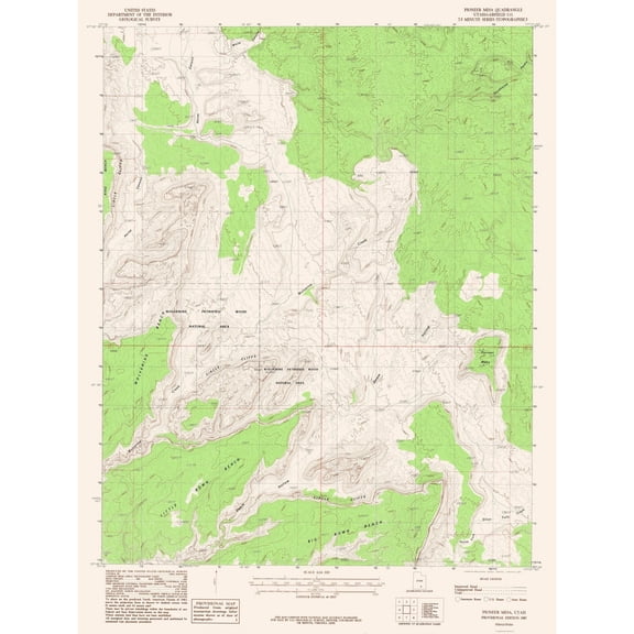 Topographical Map - Pioneer Mesa Utah Quad - USGS 1987 - Vintage Wall Art
