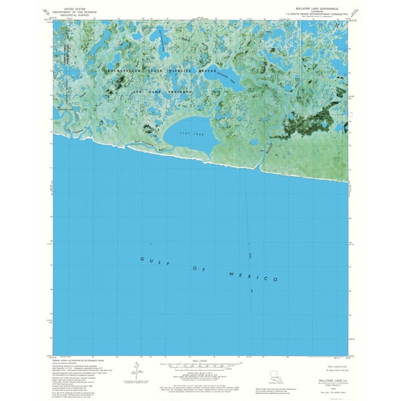 Topographical Map - Rollover Lake Louisiana Quad - USGS 1979 - Vintage Wall Art
