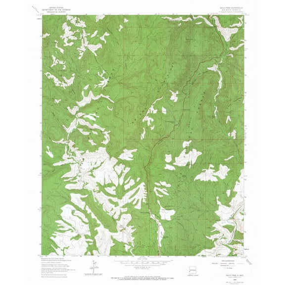 Topographical Map - Salize Pass New Mexico Quad - USGS 1963 - 23 x 28.43 - Vintage Wall Art