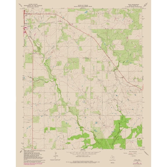 Topographical Map - True Texas Quad - USGS 1964 - 23 x 28.39 - Vintage Wall Art