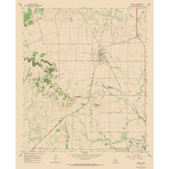 Topographical Map - Tuscola Texas Quad - USGS 1967 - Vintage Wall Art