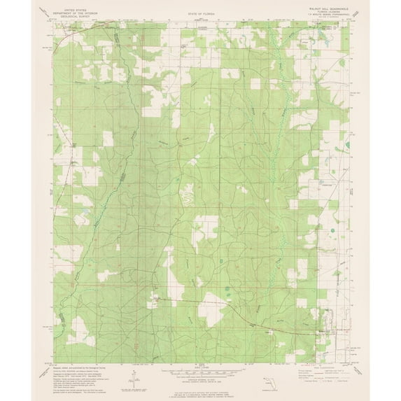 Topographical Map - Walnut Hill Florida Quad - USGS 1978 - Vintage Wall Art