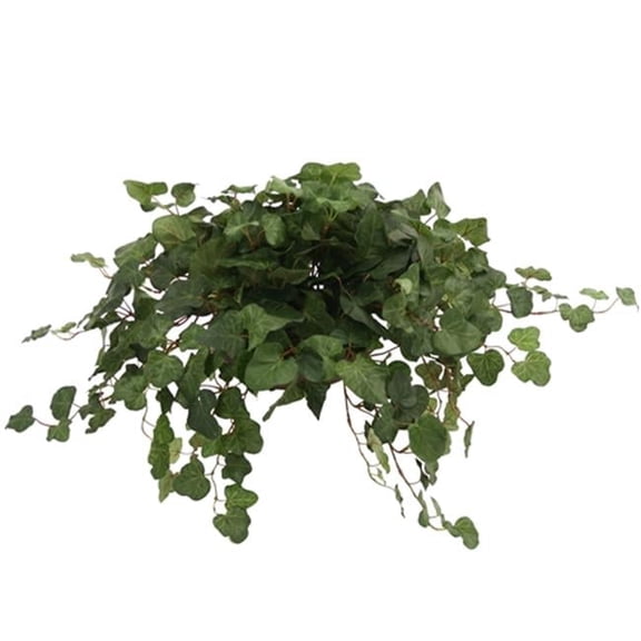 Topper with Silk Swedish Ivy in Terra Cotta Saucer - Pack of 2