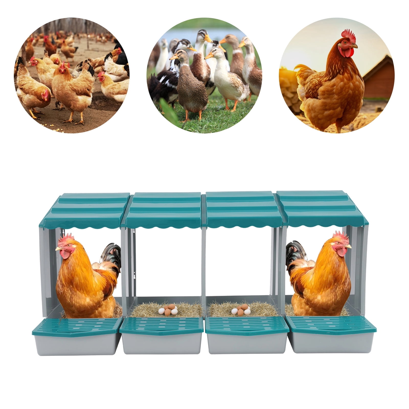 ToppiJoy 4-Compartment PP Chicken Nesting Boxes, Egg Laying Box with ...