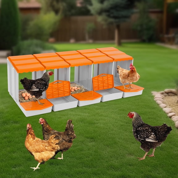 ToppiJoy 5-Compartment PP Chicken Nesting Boxes, Egg Laying Box with Automatic Egg Roll-Out Design, Wall-Mounted/Free Standing Coop Box for Hens (Orange)