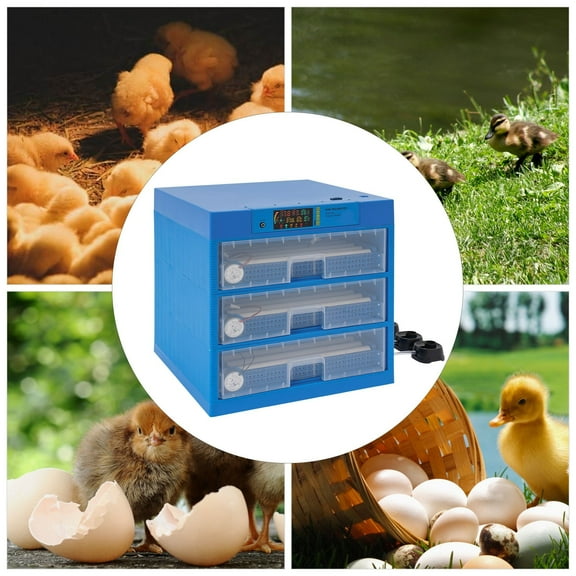 ToppiJoy Automatic Egg Incubator, Digital Poultry Hatcher Machine, LED Automatic Egg Turning & Temperature Control for Hatching Chicken Duck Quail Eggs (Blue, 192 Egg)