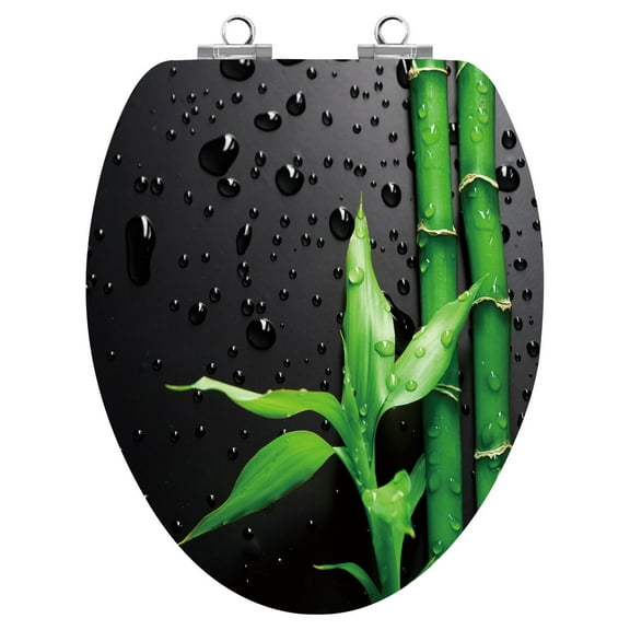 Topseat 6TS2E2202SL Art of Acryl Elongated Toilet Seat - Piano Black