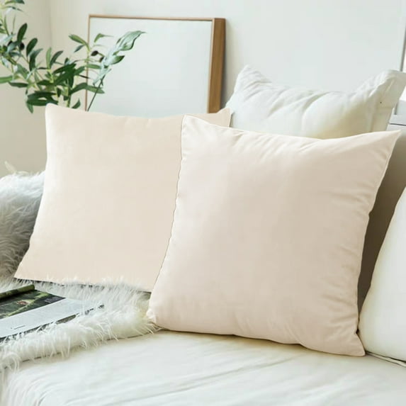 Toptie Set of 2 Velvet Pillow Covers 18" x 18", Throw Cushion Case for Sofa Bedroom (White)