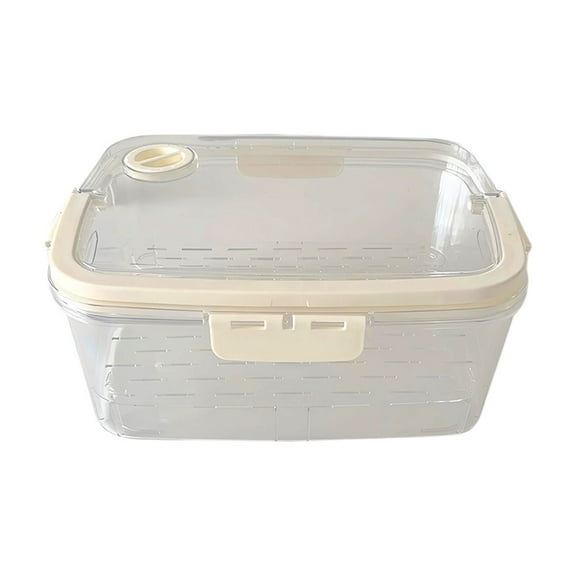 Topukaiba Large Capacity Snack Box Container Portable Snack Box Tray With Lid And Handle Transparent Storage Box For Travel Fruit Candy Nut Vegetables White B