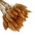 thumbnail image 1 of Topumt 50pcs Natural Rabbit Tail Grass--45cm Bunny Rabbit Tail Dried Flowers--Boho Home Decor, 1 of 2