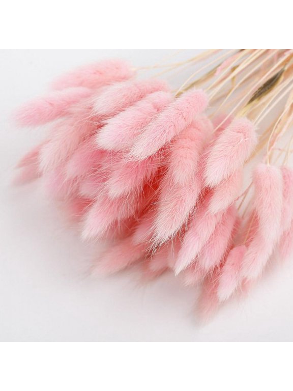 50pcs Natural Rabbit Tail Grass--45cm Bunny Rabbit Tail Dried Flowers--Boho Home Decor