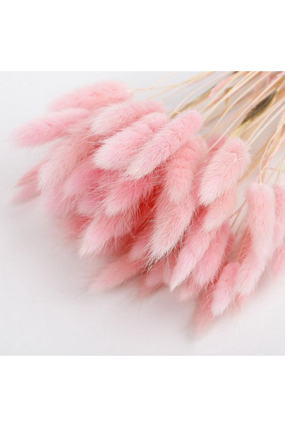 50pcs Natural Rabbit Tail Grass--45cm Bunny Rabbit Tail Dried Flowers--Boho Home Decor